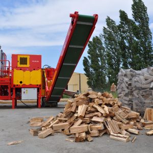 Alternative view of RABAUD XYLOG 520
